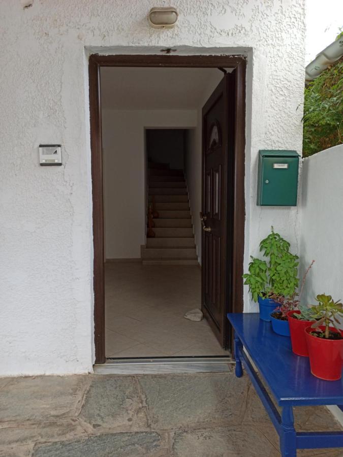 Doras House In Village Άνετο Διαμέρισμα Υπέροχη Θέα ピルガディキア エクステリア 写真